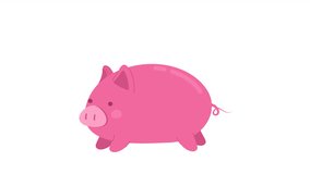 Animated running pink piggy. Cute domestic farm animal. Pig mini pet jumping. Flat character animation on white background with alpha channel transparency. Color cartoon style 4K video footage