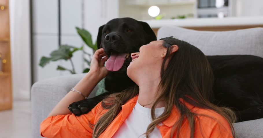 Happy woman relax with her dog at home for mental health, wellness or emotional support, love and care. Young person sitting on living room floor and pet, animal or Labrador retriever kiss and stroke | Shutterstock HD Video #1101116711