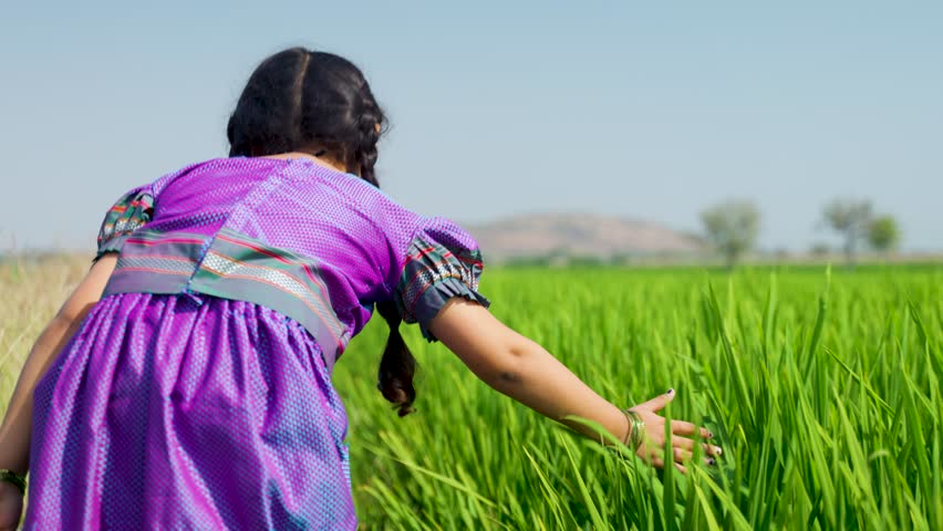 Back view shot of village girl playing by touching paddy crop at farmland - concept of carefree, vitality and recreation.