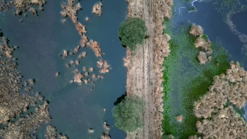 A serene top-down aerial view of a grassy path winding between two small ponds, offering a peaceful and tranquil atmosphere.