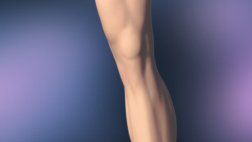 Lesion of the knee cartilage, Knee bone animation, Knee treatment. Animation of knee pain, 3D Animation Healthcare, Modern medical science. Scientific background. Royalty-Free Stock Footage #1101128823