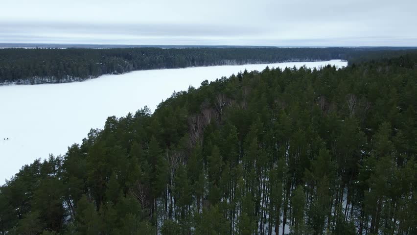 Big Lake In The Middle Of Dense Forest In Winter. Drone View