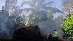 A close view of the bonfire and dark smoke. Blurred branches of a palm tree in the background. A video suitable for visualizing a forest fire in various tropical forests.