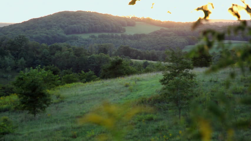 Green Landscape at Dawn.