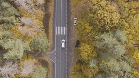 Car riding through autumnal rural road. Auto driving at countryside route at beautiful fall season. White SUV moving through scenic landscape way along yellow autumn forest. Top view Aerial shot - Powered by Shutterstock - Get 15% off with code: PIKWIZARD15
