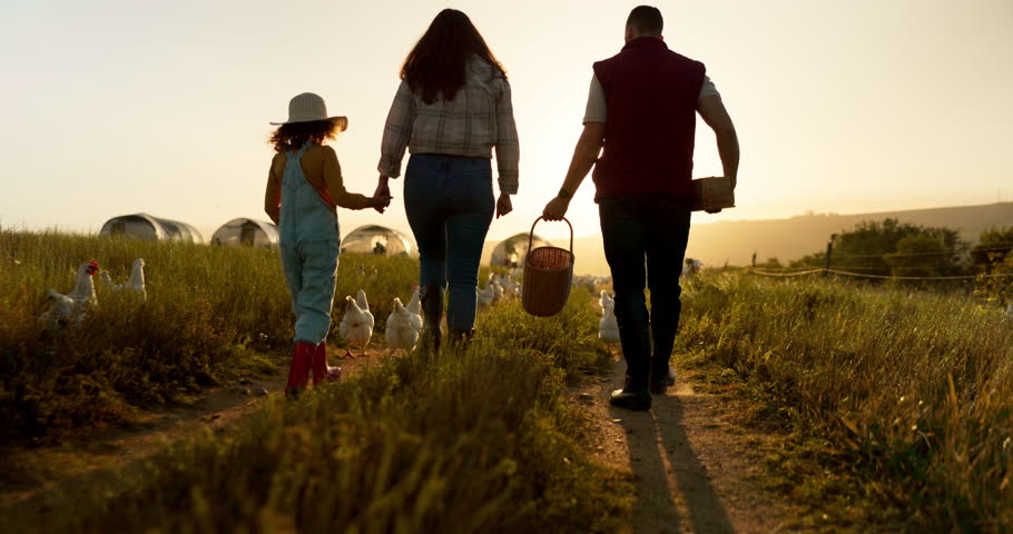 Farmer family, farm and bonding mother, father and girl on environment or countryside sustainability agriculture field. People and kid walking on an agriculture poultry or chicken field during sunset Royalty-Free Stock Footage #1101168819