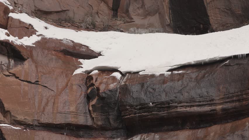 Water pours out from under a snowbank on a red rock ledge at the Temple of Sinawava in Zion Nat. Park, Utah, USA. Chunks of snow from the cliff above fall and splatter before bouncing farther down.