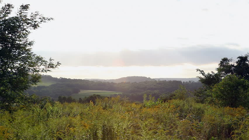 Green Rural Landscape at Dawn.