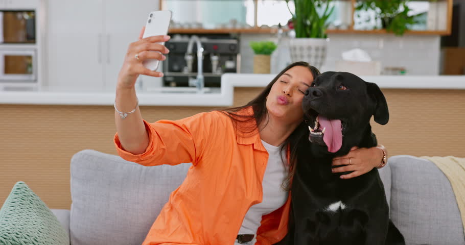 Woman, dog and selfie on living room couch in home for funny hug, touch or lick face with happy friends. Doggy mom, lounge sofa and love for pet, animal or social media app for comic photography fail Royalty-Free Stock Footage #1101192473