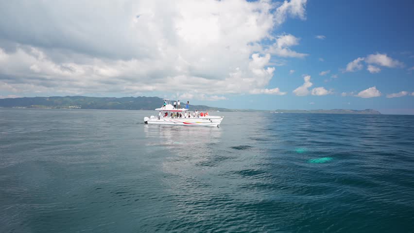 Two big Northern humpback whales playing in the water during mating season in Atlantic Ocean. Tourists are watching from a boat on the Samana bay excursion in Dominican Republic Royalty-Free Stock Footage #1101194315