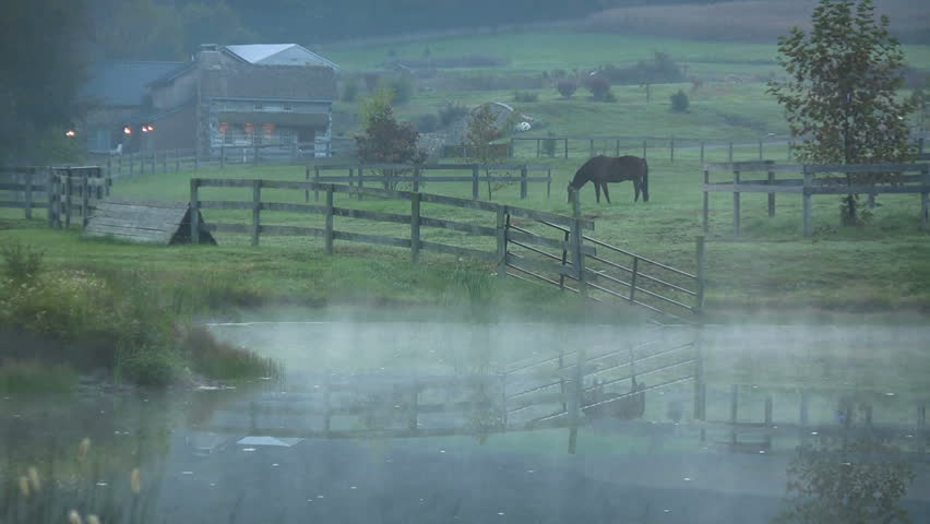 Horse Farm. Landscape Reflection in the Water.