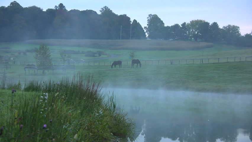 A Farm at Early Morning. Reflections in the Water.
