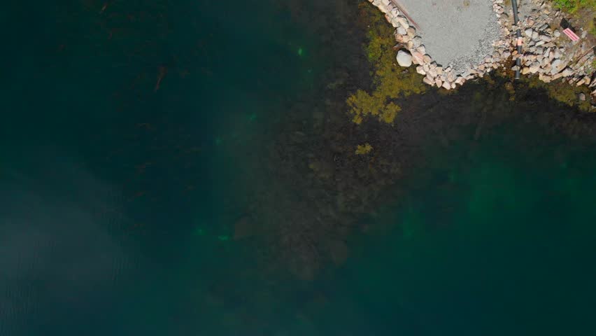 Overhead drone view of cliffs and sea at summer.