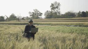 Young male farmer using tablet and laptop to analyze barley field and agricultural products for research.