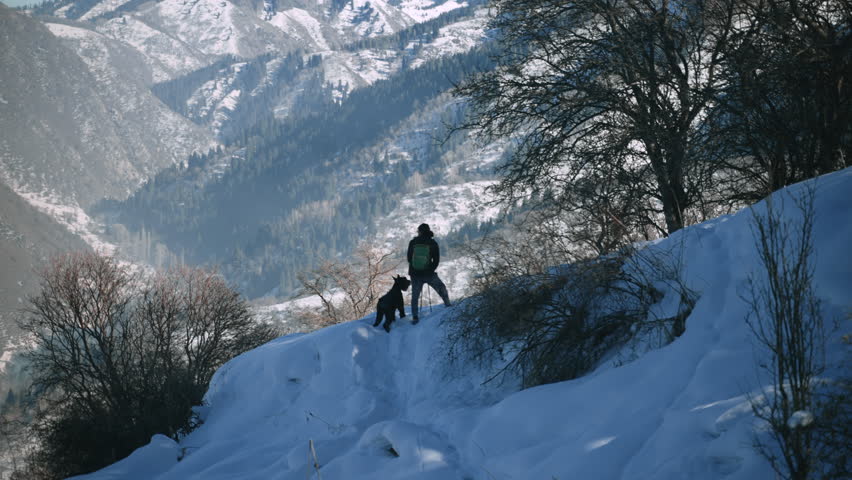 4k Young man, dog standing in mountainous area in winter spbas. Rear view male hiker, cute dog look at high snowy cliffs and rest after hiking in scenic area in frosty weather. Experienced athlete has