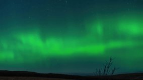 Time lapse of the aurora borealis (aka northern lights) in the village of Back on the Isle of Lewis. Filmed on the Outer Hebrides of Scotland. - Powered by Shutterstock - Get 15% off with code: PIKWIZARD15