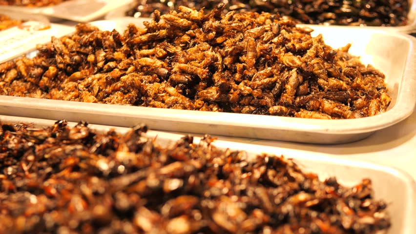 Fried Insects at Local Asian Night Market, High Quality 4K Thai Street Food Concept Footage, Thailand. Royalty-Free Stock Footage #1101221301