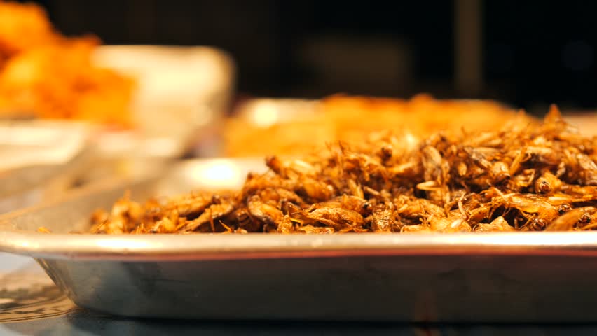 Fried Insects at Local Asian Night Market, High Quality 4K Thai Street Food Concept Footage, Thailand. Royalty-Free Stock Footage #1101221321
