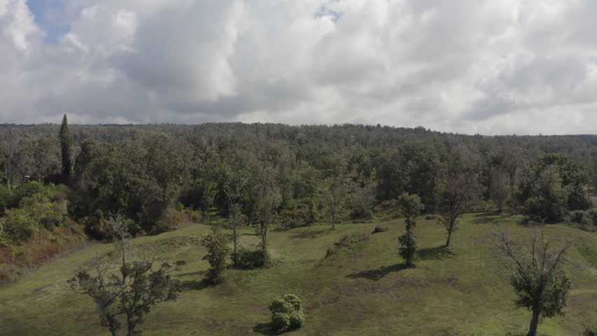 Tree-covered mountain in country farmlands on the big island of Hawaii from aerial view.