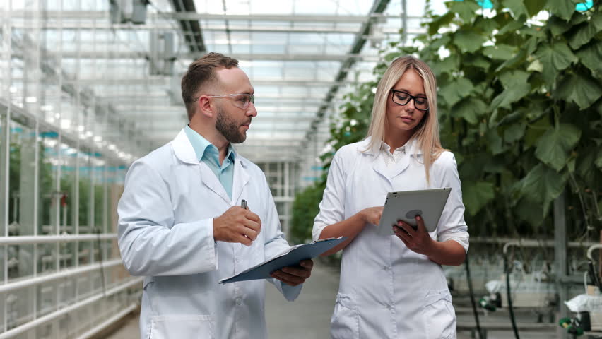 Man woman agronomist checking plant growing fertility condition talking working at greenhouse. Agriculture scientist botanist colleagues discuss industrial botanical vegetation tablet clipboard notes Royalty-Free Stock Footage #1101236073
