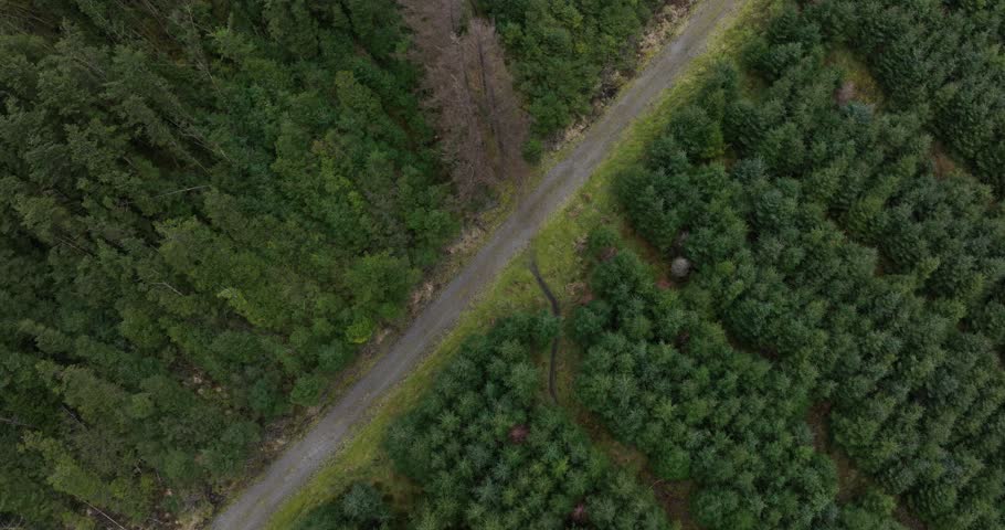 High quality video around blessington lake, mass path 