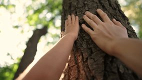 touch the tree trunk with your hand. ecology concept of nature forest energy. family hand touches highlights close-up of pine trunk. hand touches a tree trunk sun. tree wild forest travel concept - Powered by Shutterstock - Get 15% off with code: PIKWIZARD15