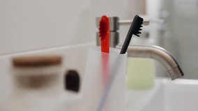 Switching to toothbrushes with compostable handles made from wheat straw, Individual's concern about reducing their environmental impact, Opting for sustainable dental care products
 - Powered by Shutterstock - Get 15% off with code: PIKWIZARD15