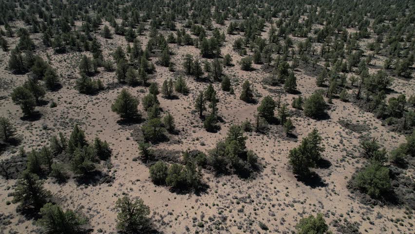 Aerial shot of the Oregon high desert with bushes and the Cascade Mountains in the distance.
