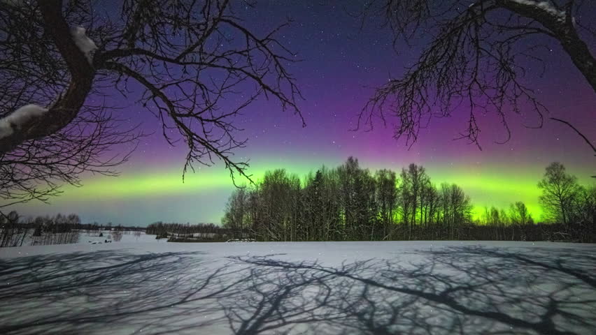 Purple and green colored Northern Lights sky over forest landscape during winter day - Time lapse