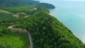 The drone captures the harmony of nature and human settlement with a tropical coastline boasting verdant forests, a quaint fishing village, towering mountains, sandy beaches, and turquoise waters.
