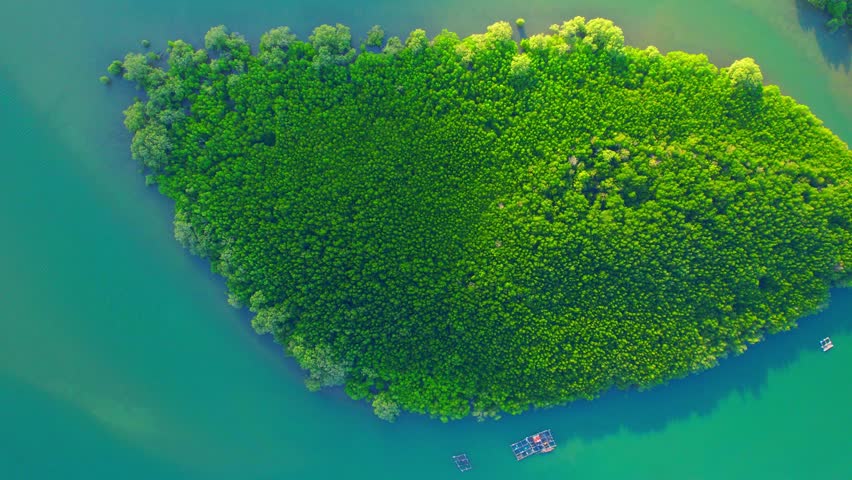 Mangrove Forests Island is a picturesque location that showcases the beauty of nature. drone footage captures the sprawling mangrove forests that line the estuaries, unique and dynamic ecosystem
