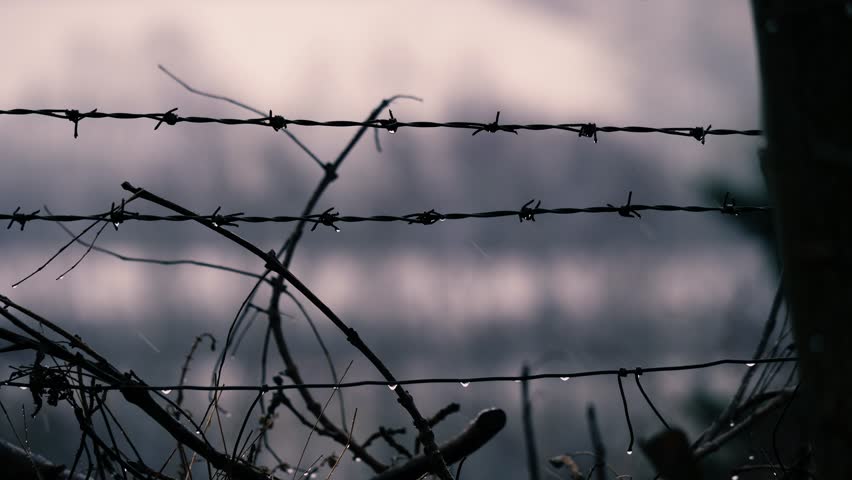 Barbed wire fence on rainy day medium 4k slow motion shot selective focus Royalty-Free Stock Footage #1101263033