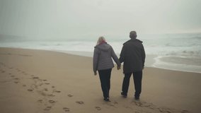 Back view of a senior Caucasian White couple walking on the beach holding hands. Wide shot - Powered by Shutterstock - Get 15% off with code: PIKWIZARD15