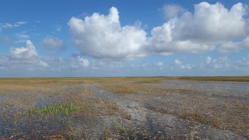 Aerial view of part of Everglades National Park in Florida, USA