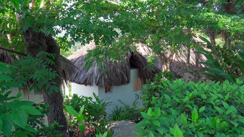 Tropical eco-hotel in the Dominican Republic. Tropical nature.
