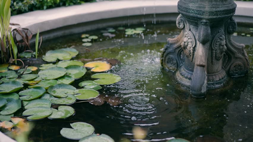A small fountain with water plants.