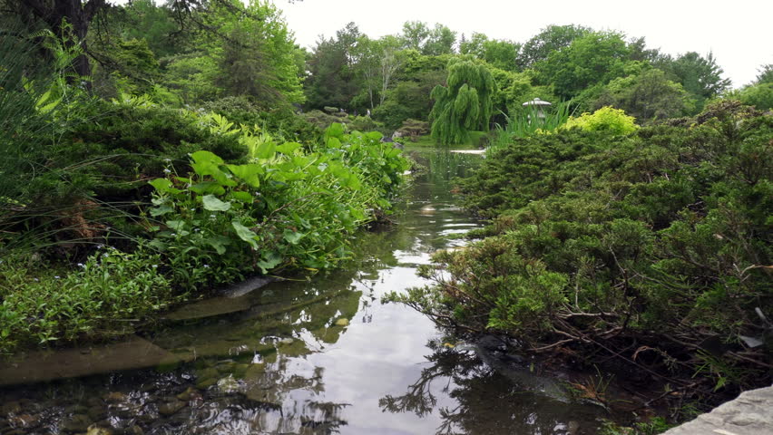 Japanese Garden at Montreal Botanical Garden. Strolling garden with koi, stone lantern, stream, pond and native Canadian plants arranged with Japanese aesthetics and ideals. 