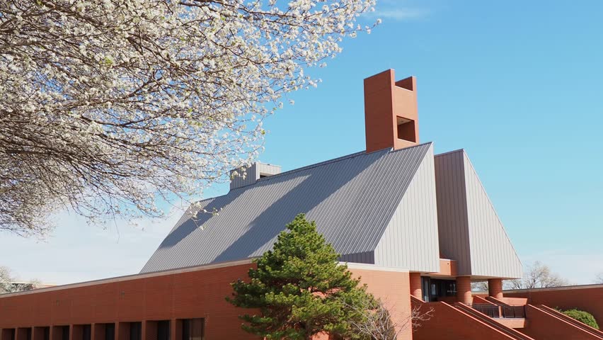 Sunny view of Callery pear blossom in the campus of Oklahoma Christian University at Oklahoma