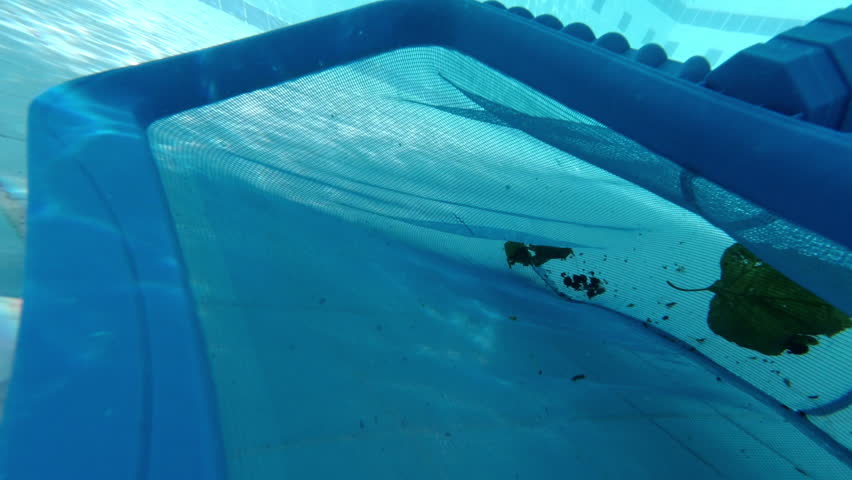 Cleaning the pool with a skimmer net. Pool maintenance process. The skimmer net captures fallen leaves and debris from the pool. Underwater POV shooting of the pool. Royalty-Free Stock Footage #1101280211