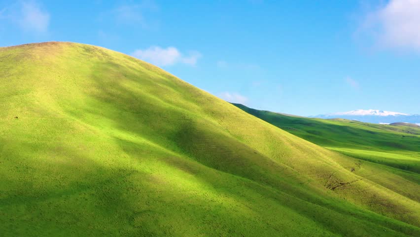 Aerial view of pasture land, Waimea, Hawaii Island, Hawaii, United States.