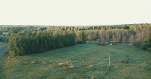4K aerial bright summer day high quality video footage of lush bright green countryside forest and fields in rural village outskirts in Yaroslavl Region of Russia