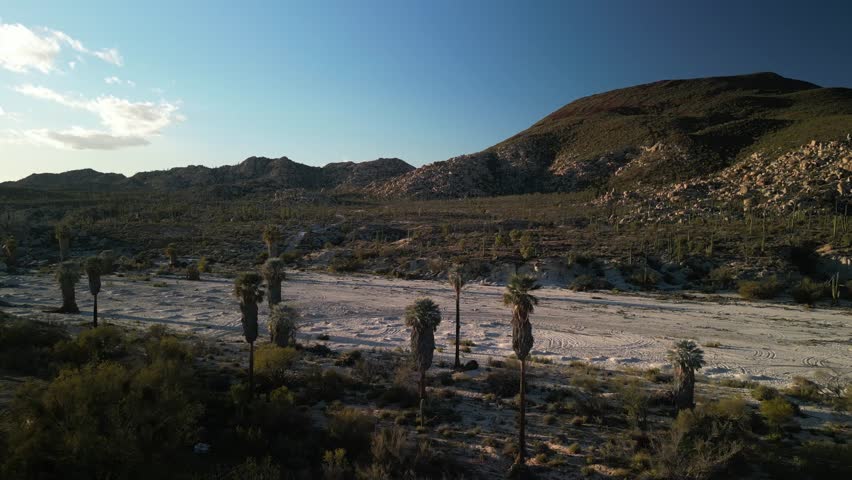 Aerial of white sand wash and palm trees in Catavina Baja California Mexico at sunset