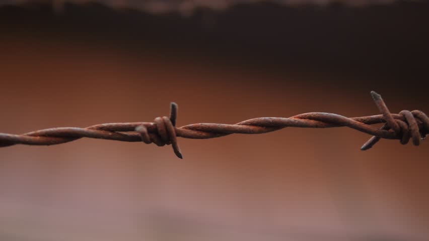 Rusted Barbed Wire Metal Fence with Sharp Spikes High Quality 4K Slow motion Close Up Footage, Prison Wall or Immigration Freedom War Concept. Royalty-Free Stock Footage #1101307125