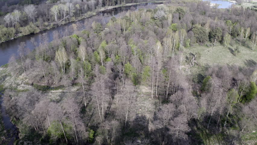 Wood River Drone Nature nature