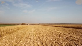 Corn harvest at sunset in 2022 in Ukraine