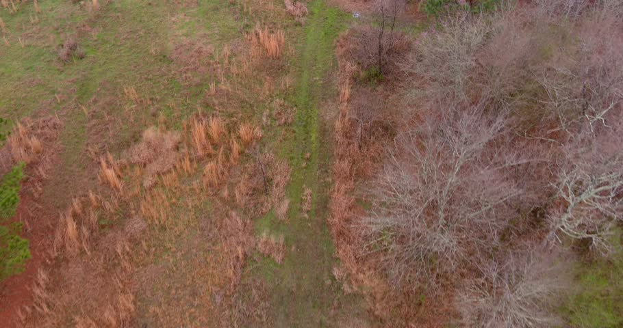 Aerial of wooded forest area in Eatonton, Georgia