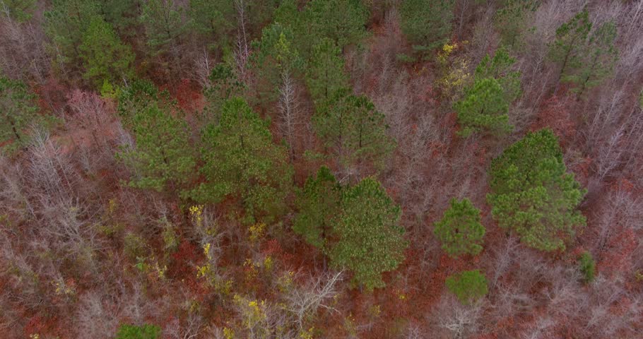 Aerial of wooded forest area in Eatonton, Georgia