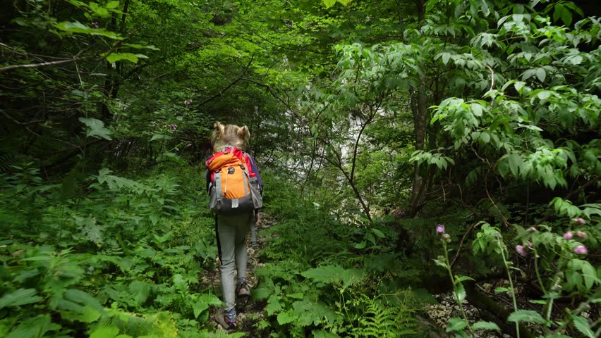 active family hiking by the Prapastiile Zarnestiului canyon, Piatra Craiului National Park, Romania
