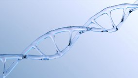 human dna structure with glass helix slowly rotate, deoxyribonucleic acid on blue background, nucleic acid molecules, chemical structure, looped video, 3d rendering, copy space