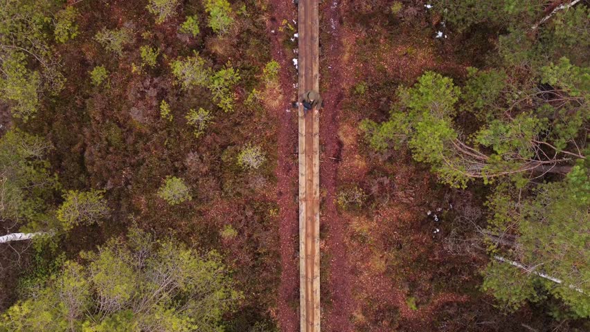 Top down aerial of man walking on narrow boardwalk, swamp landscape, static